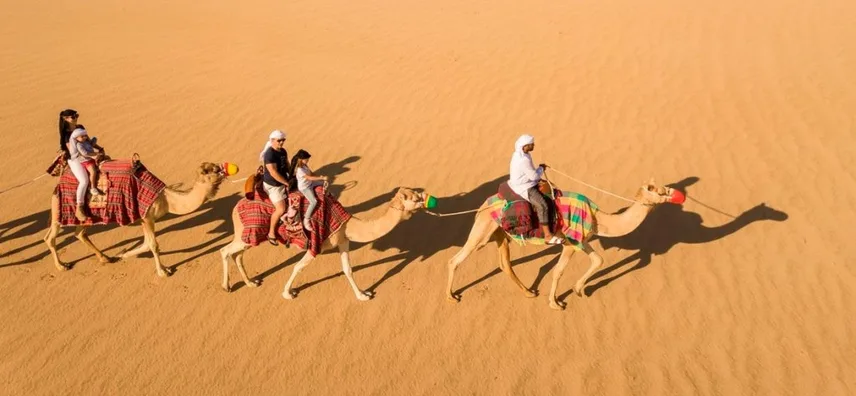 Camel Trekking Dubai-2